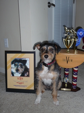 pete and his trophies.JPG